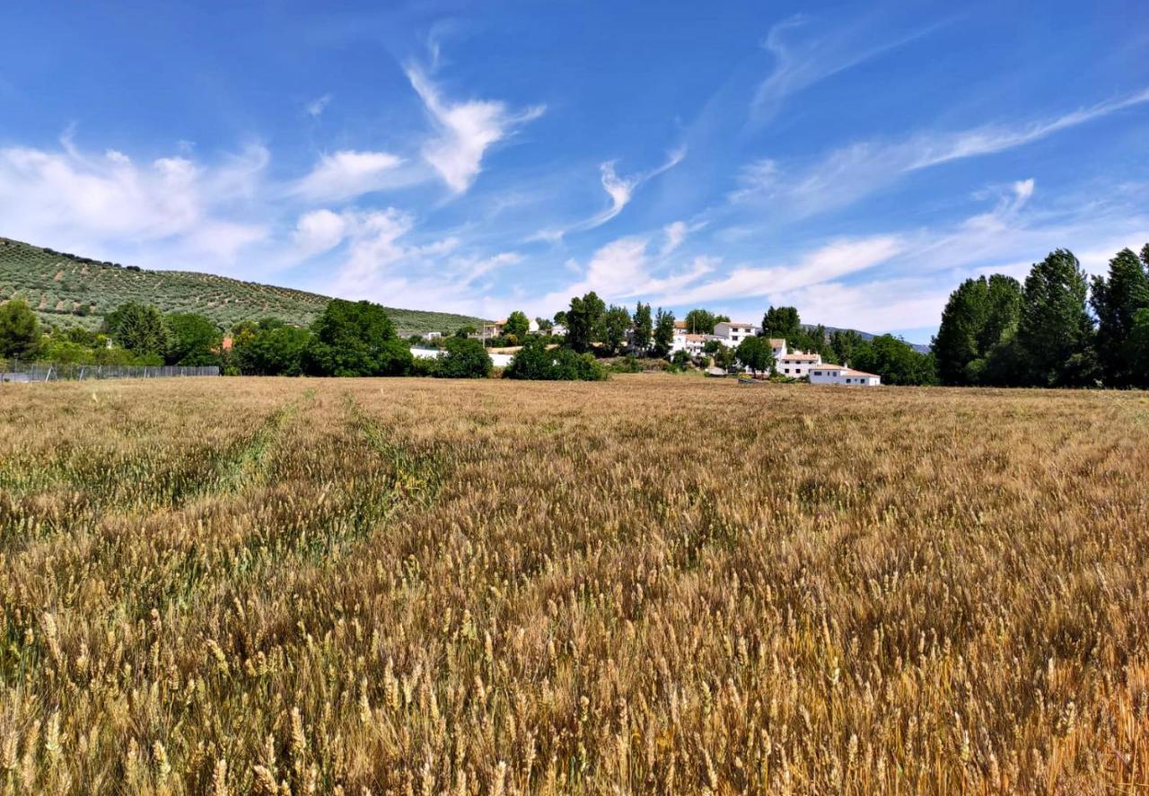 Complejo Apartamentos Rurales Molino De Abajo Ribera Baja  المظهر الخارجي الصورة