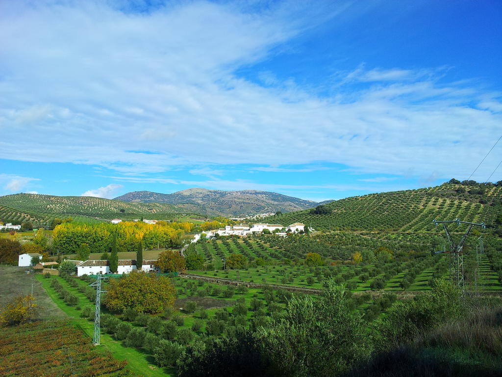 Complejo Apartamentos Rurales Molino De Abajo Ribera Baja  المظهر الخارجي الصورة