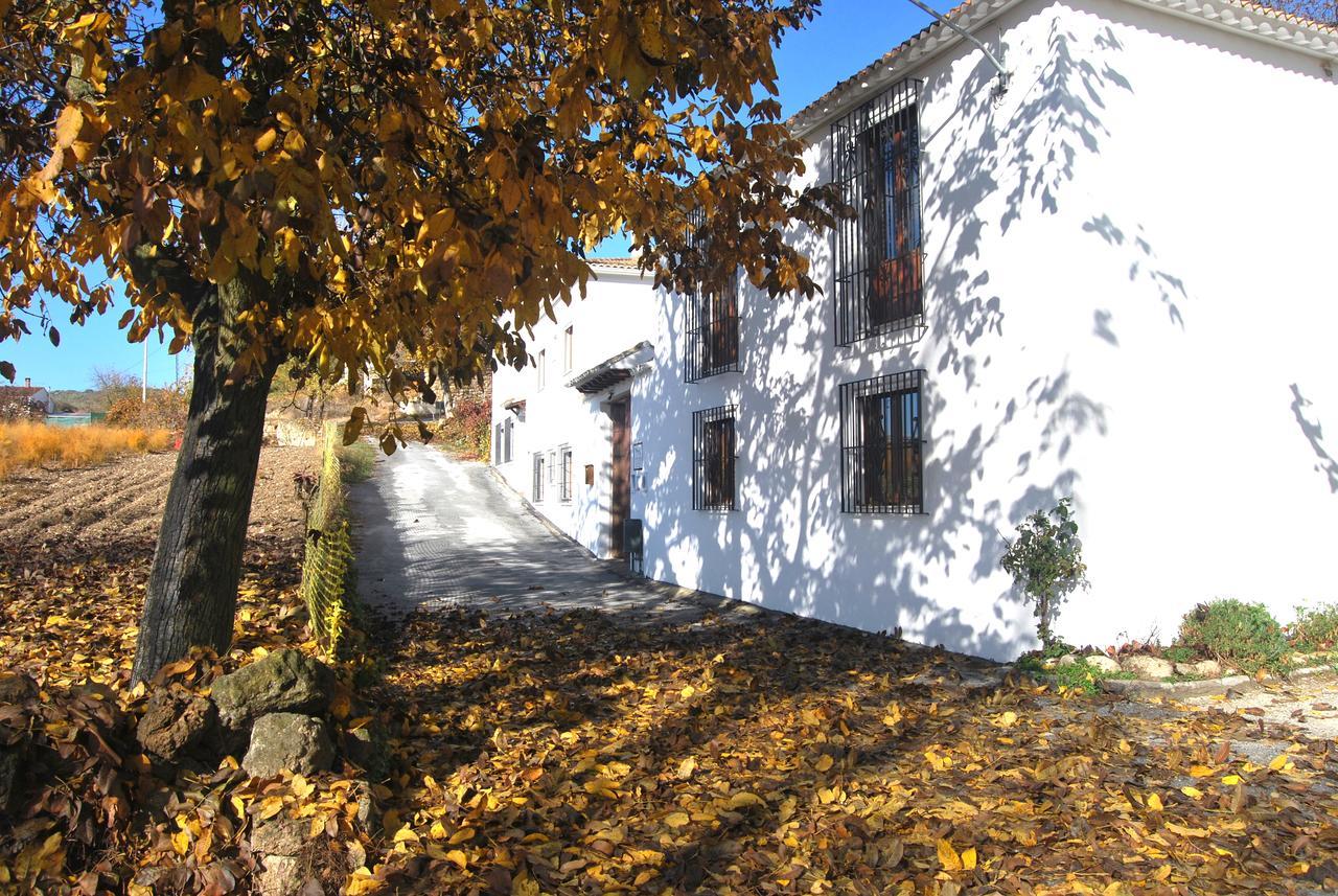 Complejo Apartamentos Rurales Molino De Abajo Ribera Baja  المظهر الخارجي الصورة