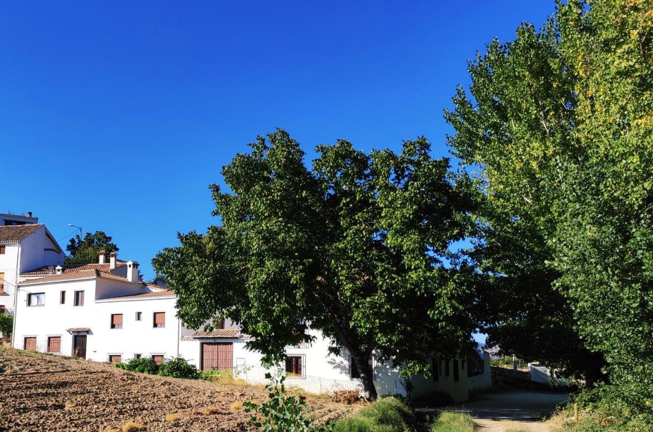 Complejo Apartamentos Rurales Molino De Abajo Ribera Baja  المظهر الخارجي الصورة