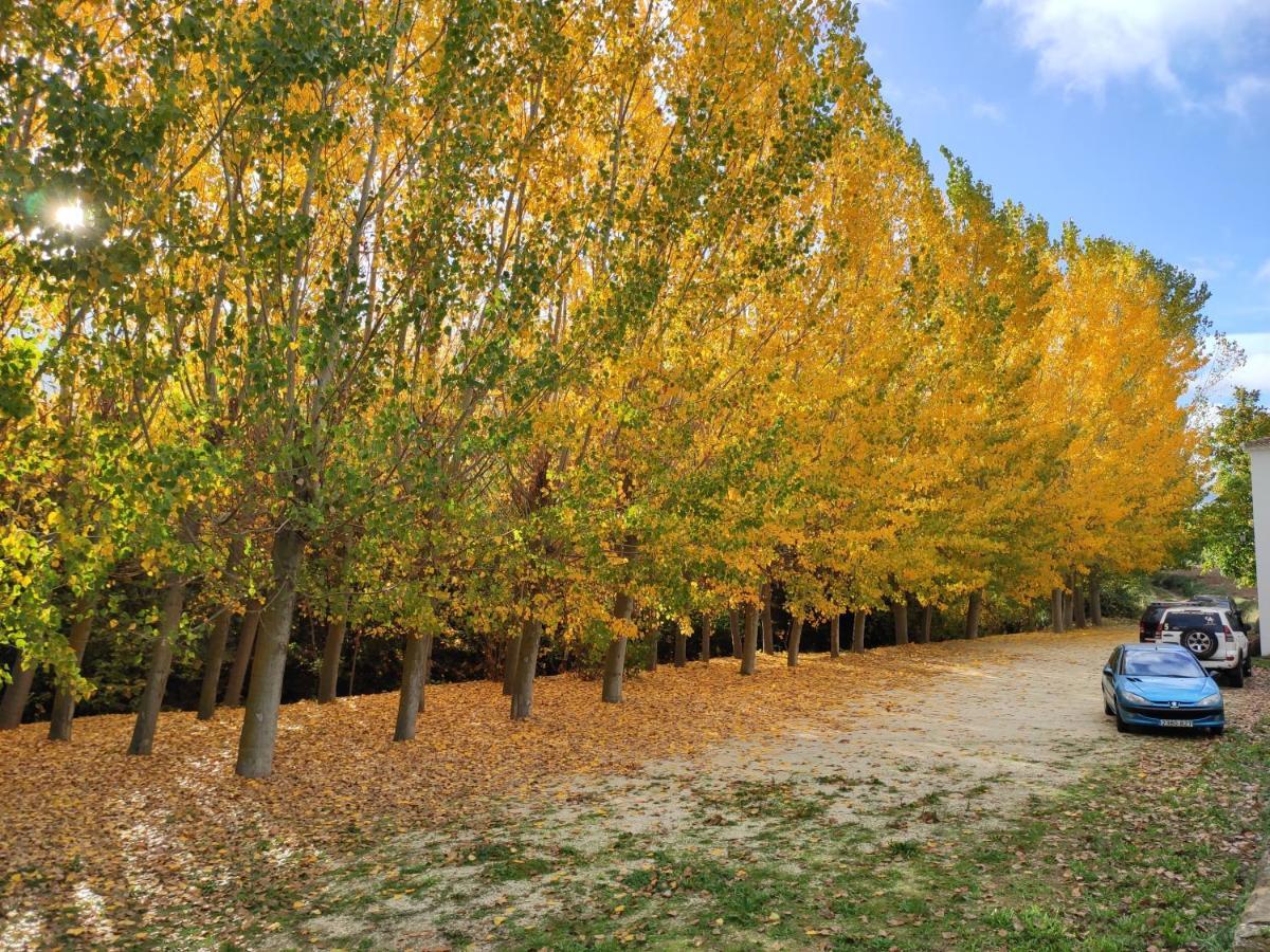 Complejo Apartamentos Rurales Molino De Abajo Ribera Baja  المظهر الخارجي الصورة